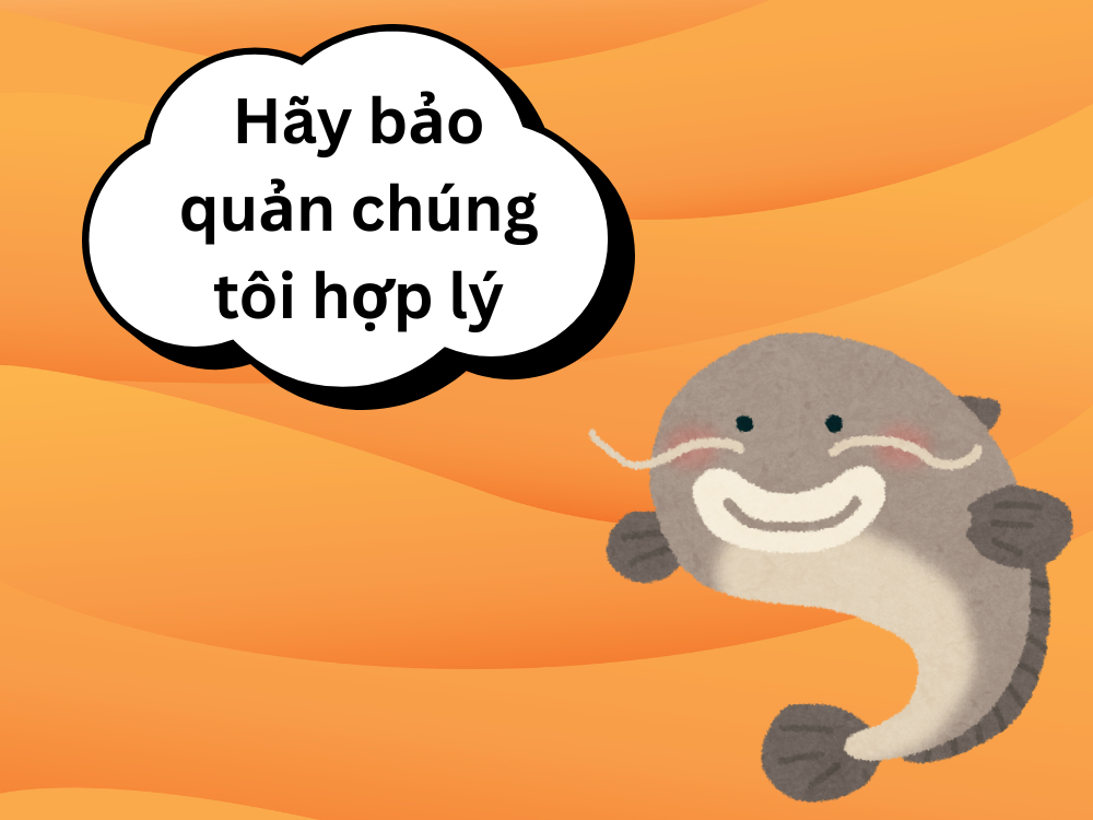 Kết luận